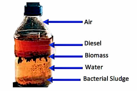 water contamination FTS Indonesia